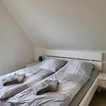 Dhh 